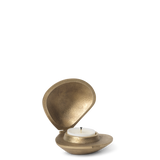 Brass Clam Candle Holder