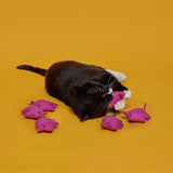 Felted Wool Pig Catnip Toy