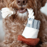 Lambwolf Collective - Rocket Confetti POP