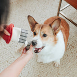 Lambwolf Collective - Rocket Confetti POP