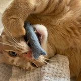 Organic Catnip Infused Wool Sardines in a Tin