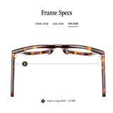 Caddis Readers, Wabi-Sabi Turtle