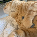 Organic Catnip Infused Wool Sardines in a Tin