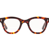 Caddis Readers, Wabi-Sabi Turtle