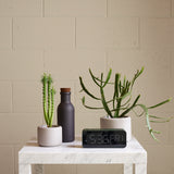 Aaron Probyn COLOMBO Porcelain Bottle, Black