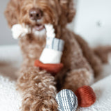 Lambwolf Collective - Rocket Confetti POP