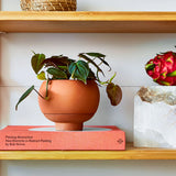 Self-Watering Ceramic Planter, Canary Yellow