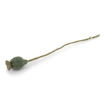 Felted poppy bud in soft green, a handmade decoration made from 100% New Zealand wool, ideal for natural decor.