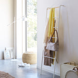 Leaning Storage Ladder