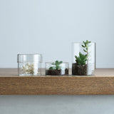 Kinto SCHALE Glass Case, Clear