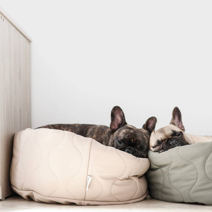 TAART Reversible Pet Bed, Fern