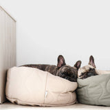TAART Reversible Pet Bed, Camel