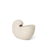 Shell Pot