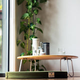 Snow Peak green lounge cushion in the foreground on the floor. A low table with glasses of water and canisters are in the background.