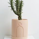 Capra Etch Planters, Salt