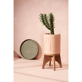 Cork Plant Stand