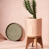 Capra Etch Planters, Salt