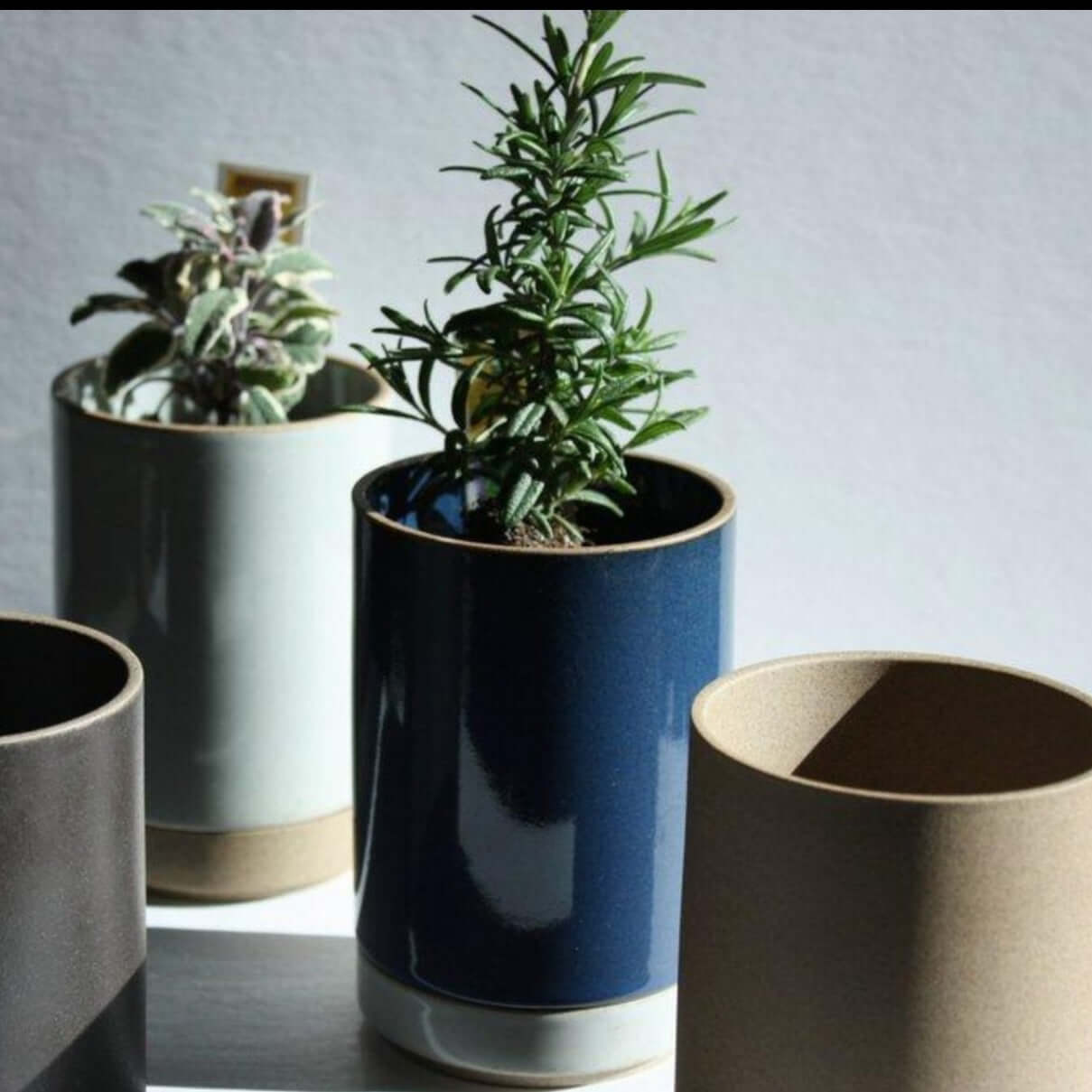 Hasami Porcelain small planters in various colors with plants, showcasing modern design and Japanese craftsmanship.