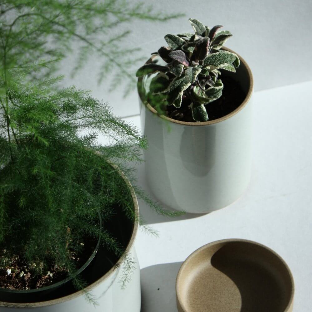 Hasami Porcelain small planter in glossy grey with plants, featuring minimal design and earthy texture.