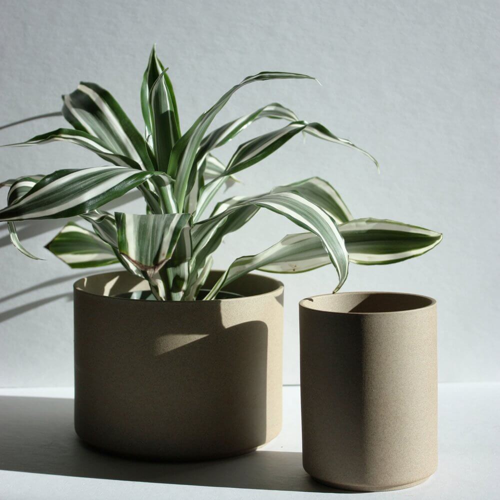 small porcelain plant pots Hasami Porcelain Small Planter, Natural