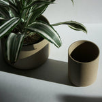 Hasami Porcelain Small Planter - Acacia