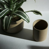 Hasami Porcelain Small Planter - Acacia