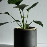Hasami Porcelain large black planter showcasing green plant, designed for multifunctional use and modern aesthetics.