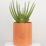 Capra Large Etch Planter, Desert