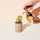 Brass Plant Mister