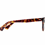 Caddis Readers - Bixby Turtle