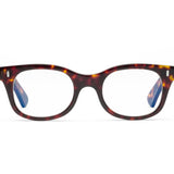 Caddis Readers - Bixby Turtle