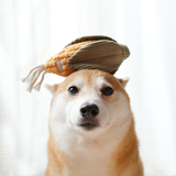 Corn + Leek Enrichment Dog Toy Set