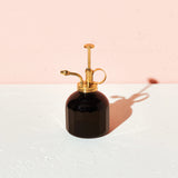 Glass and Brass Plant Mister