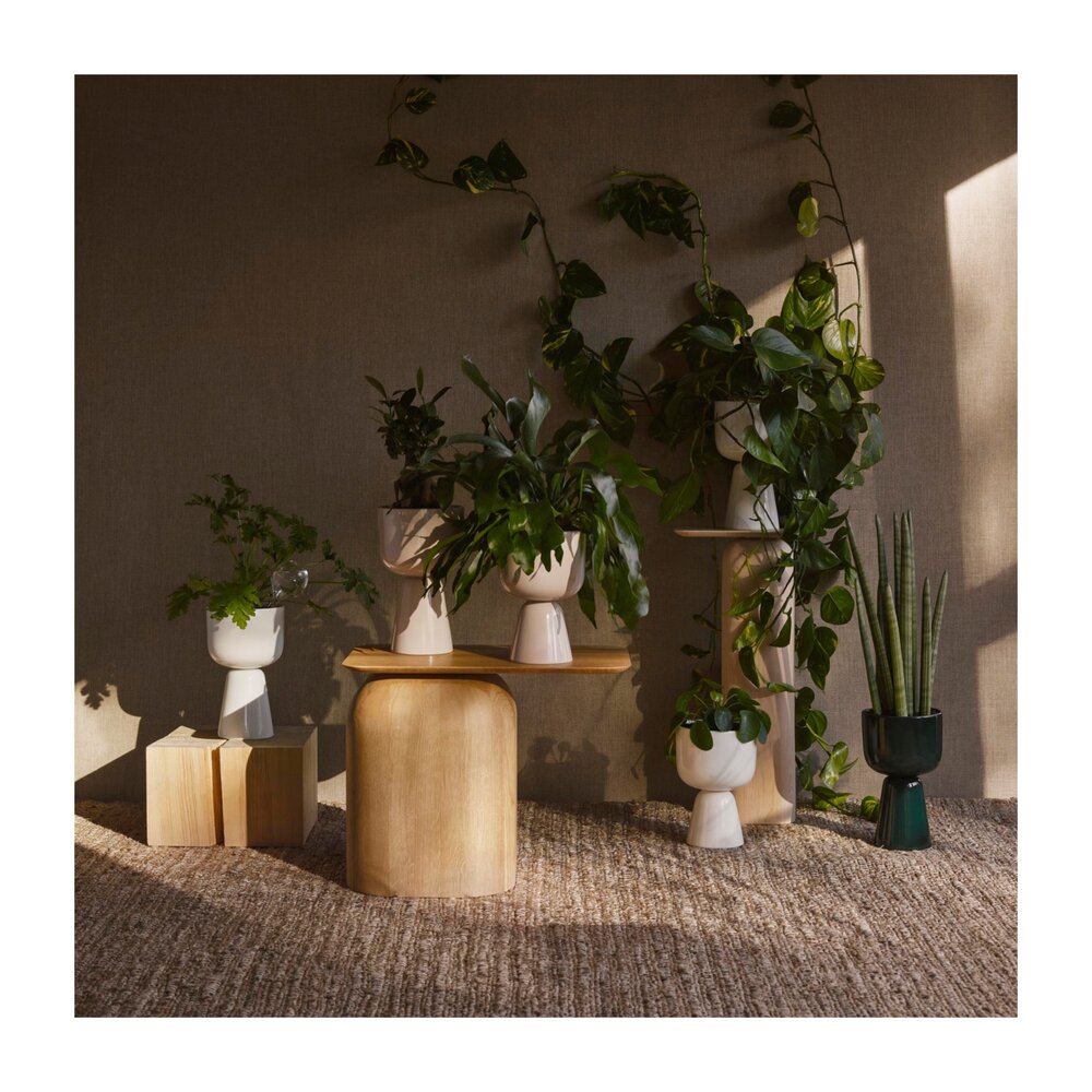 Nappula Plant Pots - Acacia
