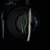 Opinel Table Chic Steak Knives, Set of 4 - Ash