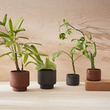 Botany Plant Pot, Small - Black