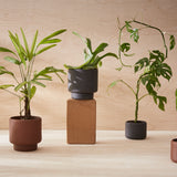 Botany Plant Pot, Small - Black