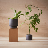 Botany Plant Pot, Small - Black
