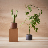 Botany Plant Pot, Small - Black