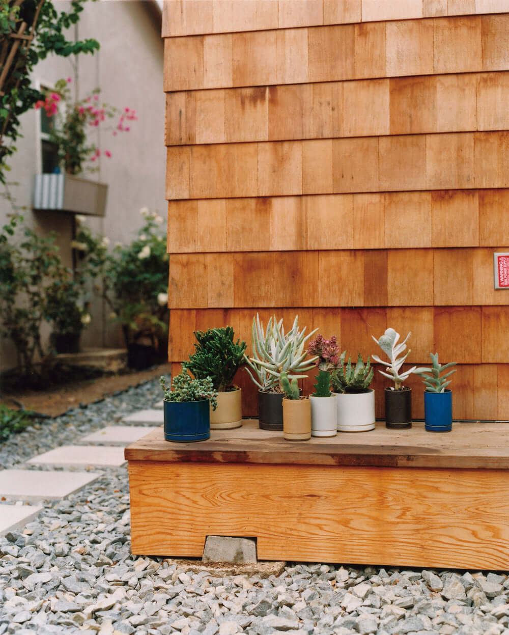 Hasami Porcelain large planters with succulents on a wooden deck in a garden setting.