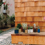 Hasami Porcelain large planters with succulents on a wooden deck in a garden setting.