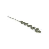 Felt Eucalyptus Branch