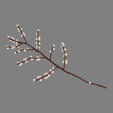 Felt Branch, White berries