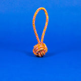 Ware of the Dog - Rope Knot Toy / Neon Pink/Orange/Yellow: Small