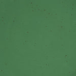 A closeup of a ceramic plate in a glossy emerald green color with iron speckles throughout