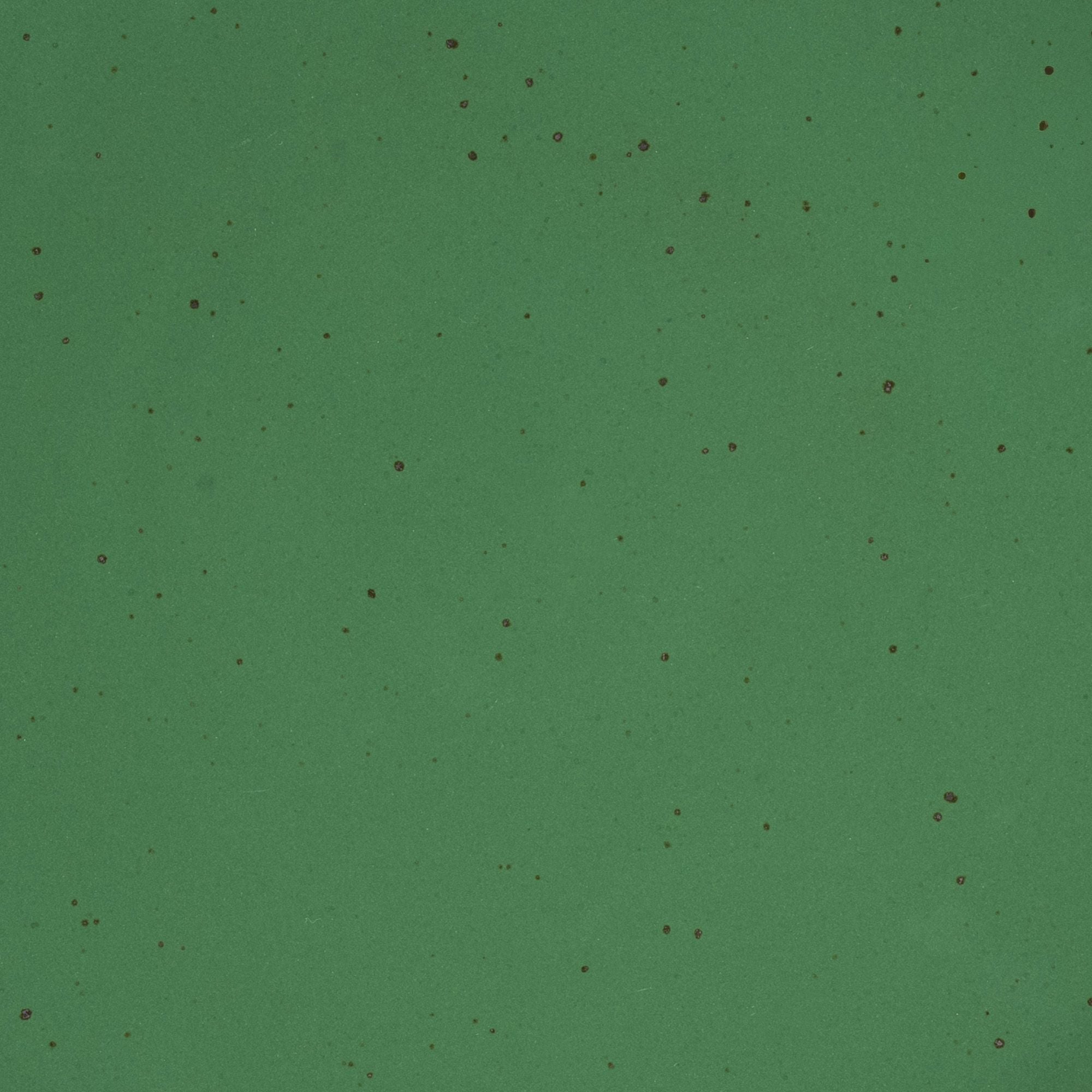 A closeup of a ceramic plate in a glossy emerald green color with iron speckles throughout
