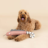 Cotton Canvas Chameleon Squeaker Dog Toy: "One in a Chameleon"