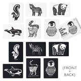 Art Cards for Baby - Black and White Animals | Wee Gallery