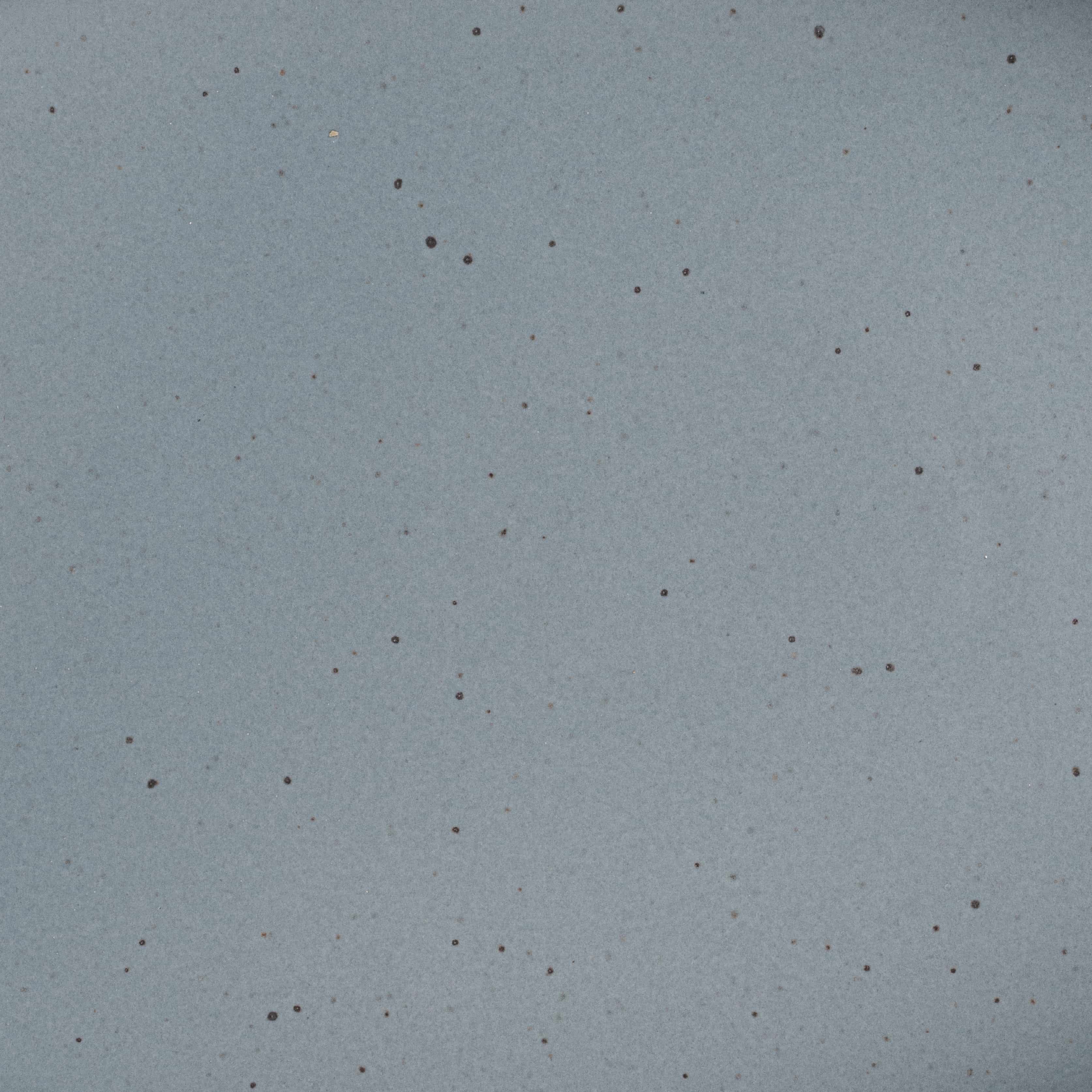 A closeup of a ceramic plate in a blue-grey color with iron speckles throughout