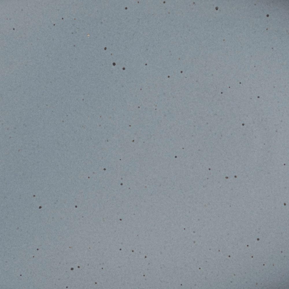 A closeup of a ceramic plate in a blue-grey color with iron speckles throughout